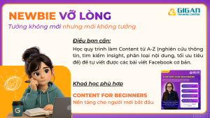 Content cho người mới bắt đầu