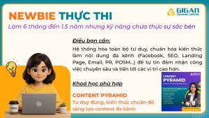 Content cho người mới bắt đầu